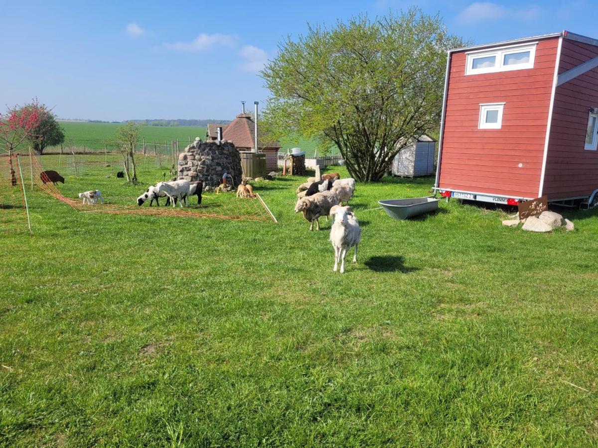Tiny House Schonbeck (Mecklenburg-Vorpommern) Exterior foto