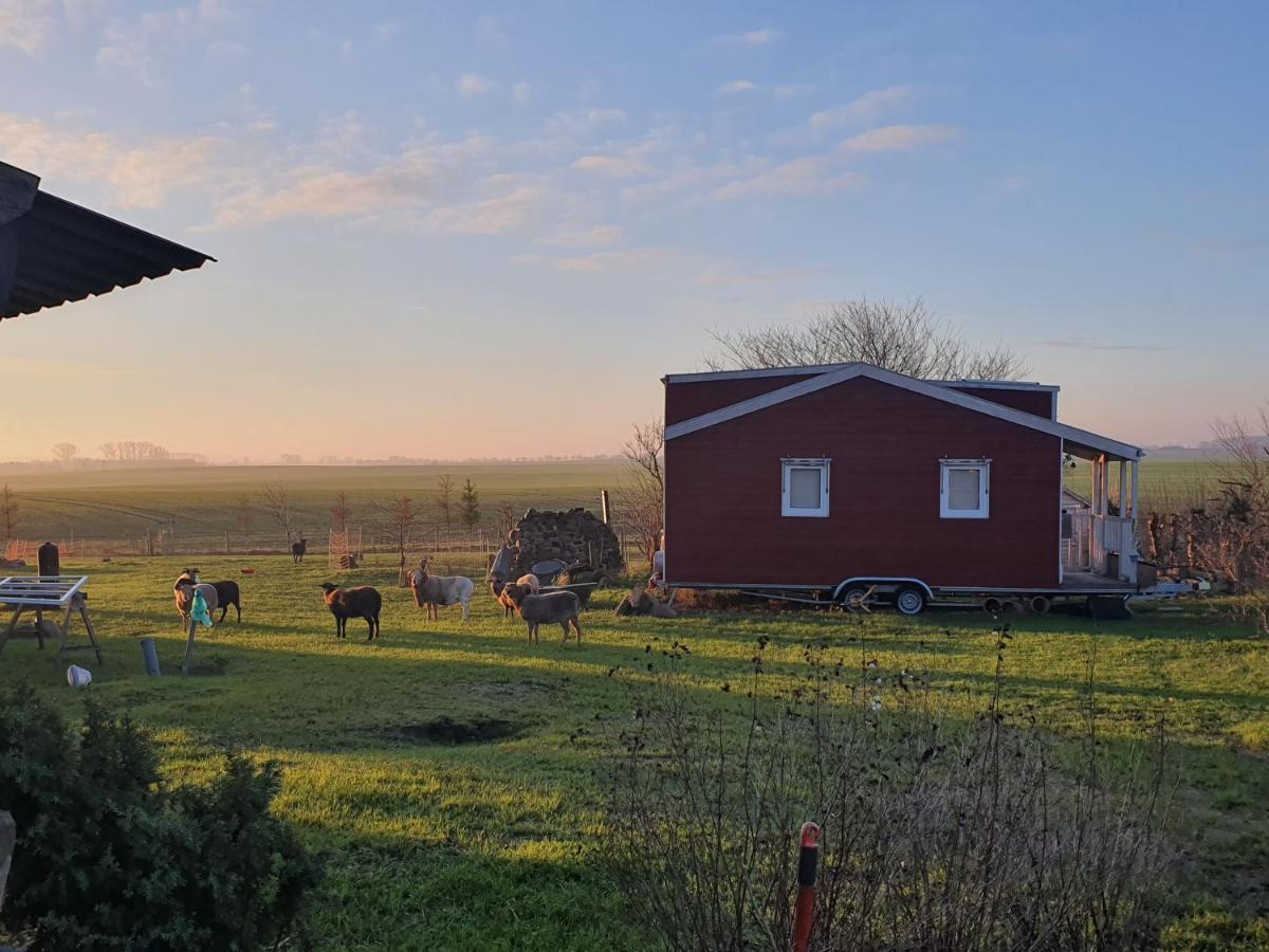 Tiny House Schonbeck (Mecklenburg-Vorpommern) Exterior foto
