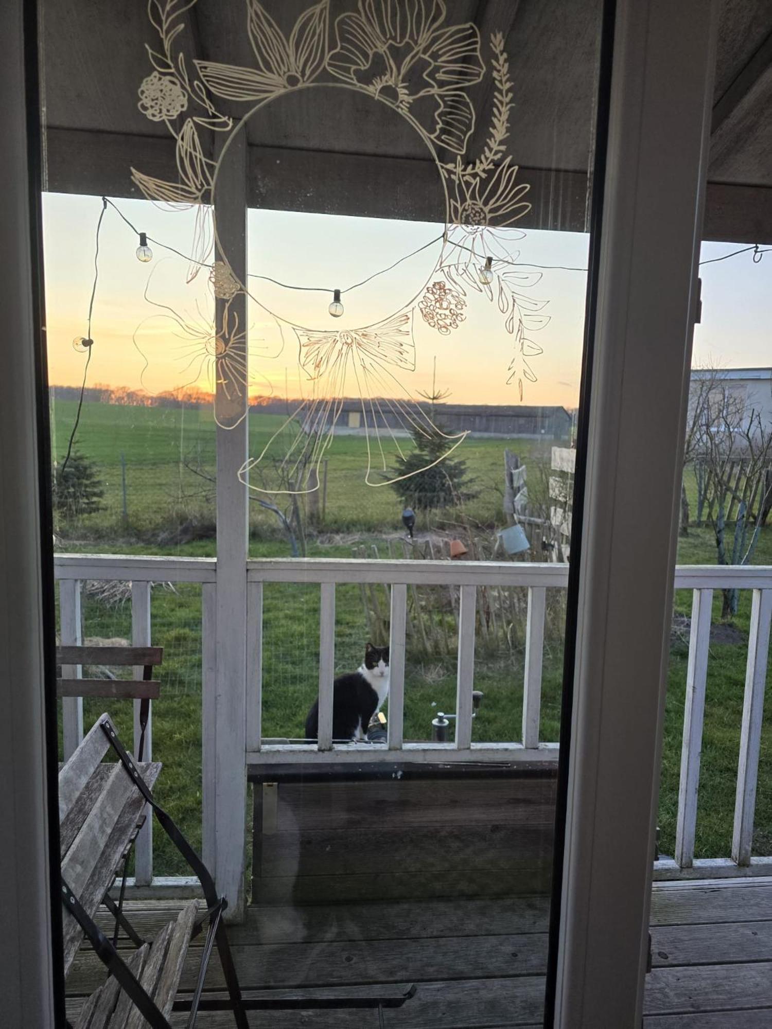 Tiny House Schonbeck (Mecklenburg-Vorpommern) Exterior foto